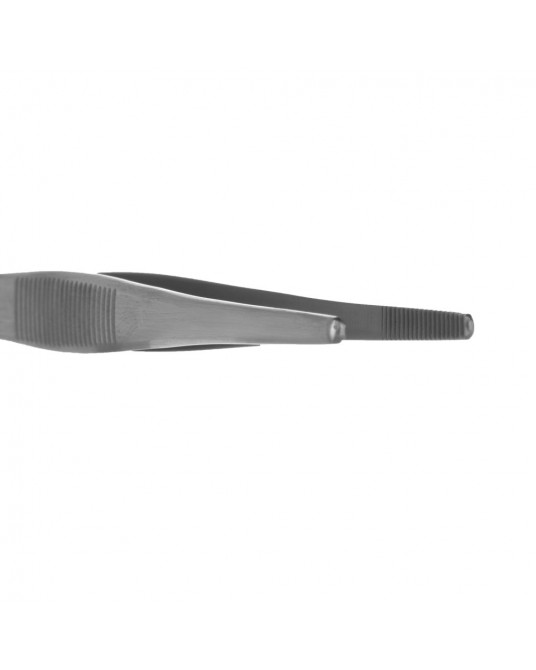 Standard anatomical forceps