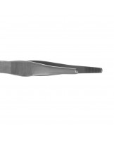 Standard anatomical forceps