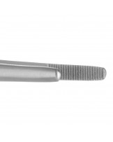 Standard anatomical forceps