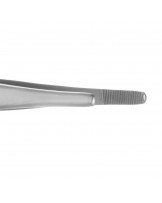 Standard anatomical forceps