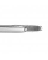 Standard anatomical forceps