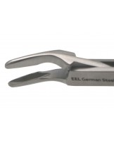 Forceps for rodents teeth shortening