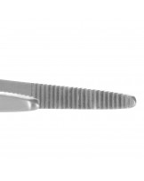 Standard anatomical forceps