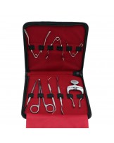 Rodent 8 piece dental tool kit in a pouch