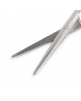 Metzenbaum-Fino dissecting scissors