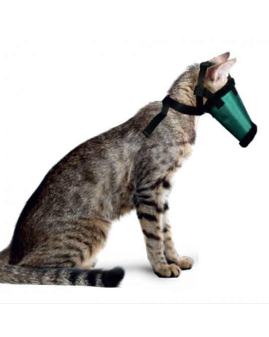 A cat muzzle