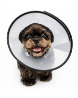 Protective collar for animals, snap-on