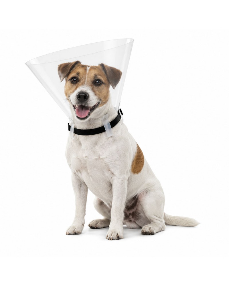 Protective collar for animals