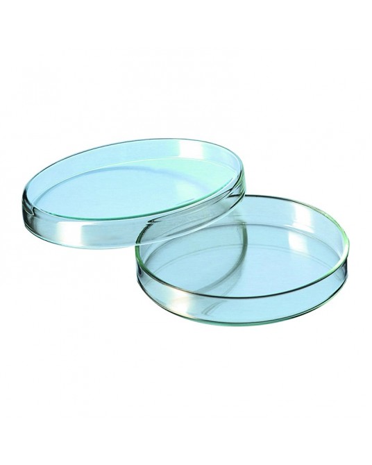 Petri dishes (pack of 20)