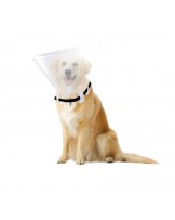 Protective collar for animals