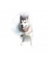 Protective collar for animals, snap-on