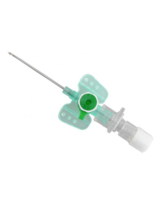 VasoVet B. Braun cannula, peripheral IV catheter