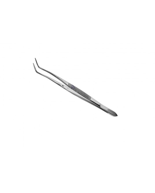 Meriam dental forceps