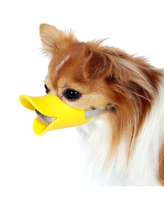 Duck muzzle for a dog