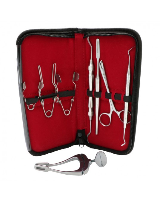 Rodent 8 piece dental tool kit in a pouch