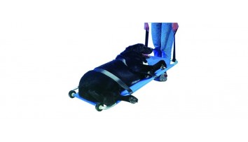 Stretchers for dogs